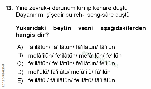 Soru 13
