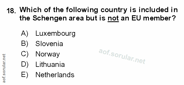 Soru 18