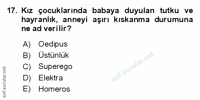 Soru 17