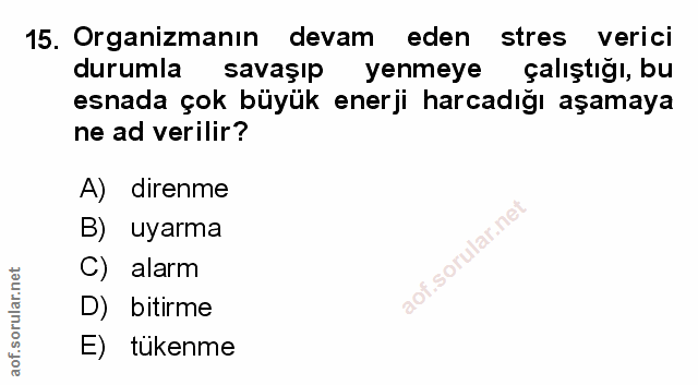 Soru 15