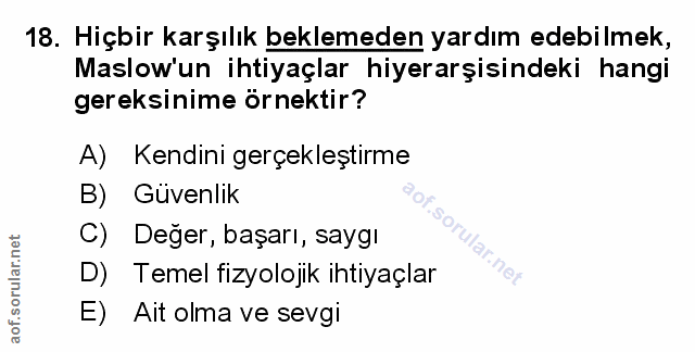 Soru 18