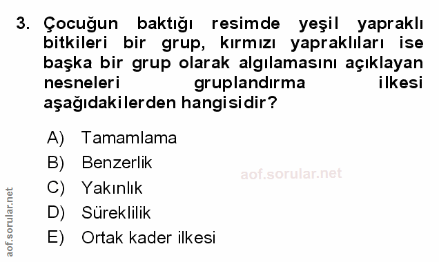 Soru 3