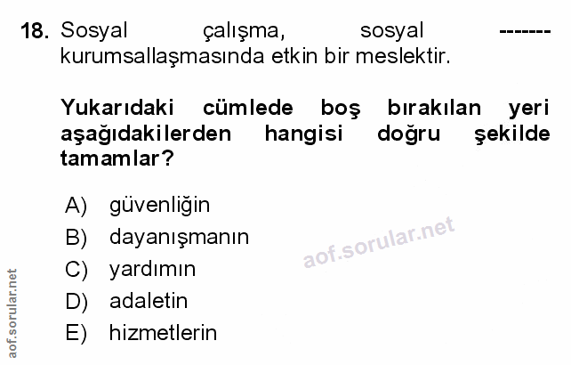 Soru 18