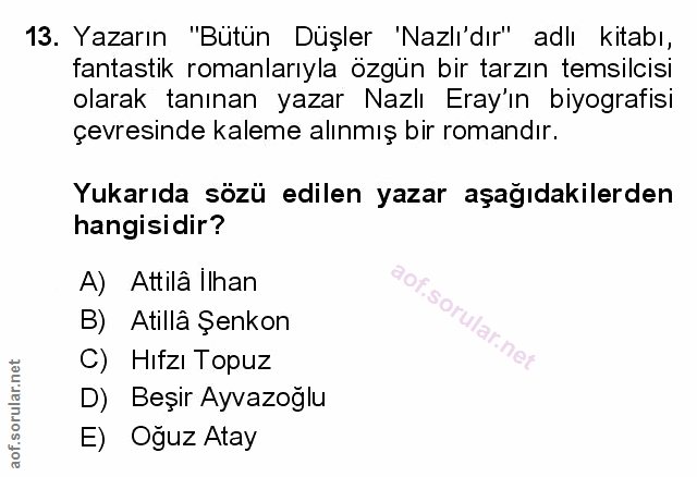 Soru 13