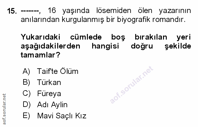 Soru 15