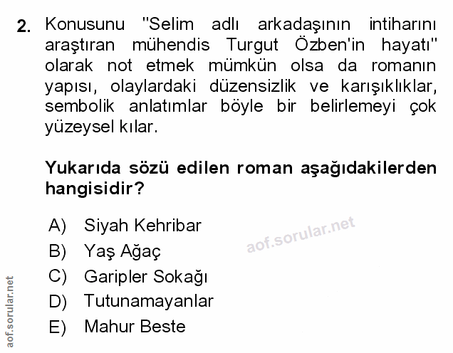 Soru 2