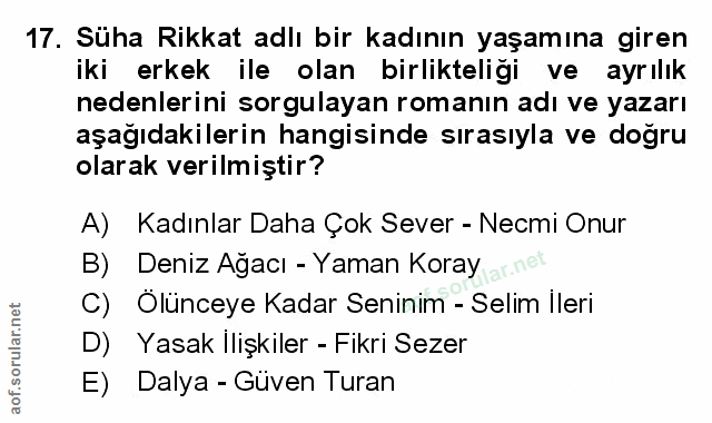 Soru 17