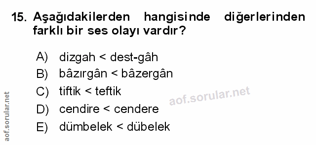 Soru 15