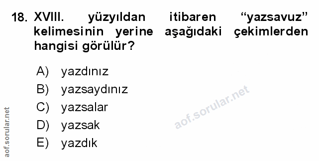 Soru 18