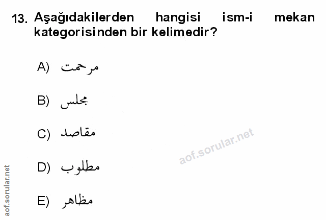 Soru 13