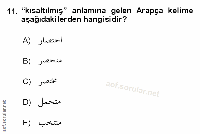 Soru 11