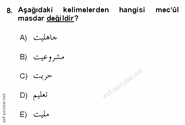 Soru 8