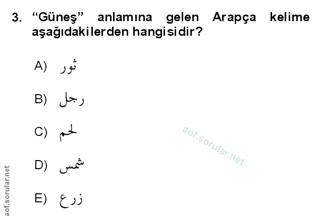 Soru 3