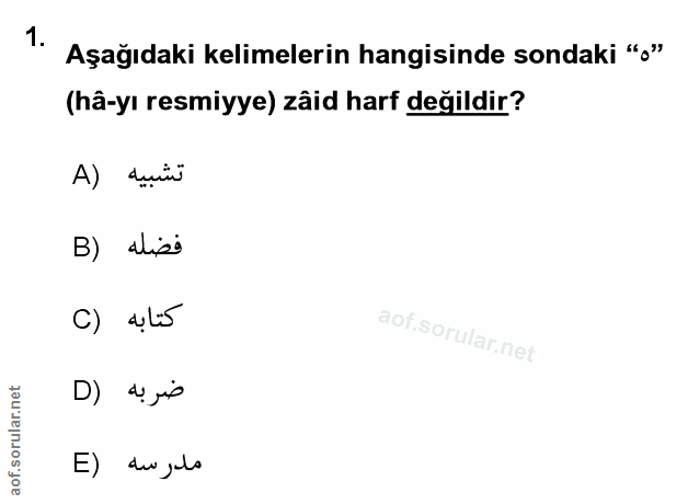 Soru 1