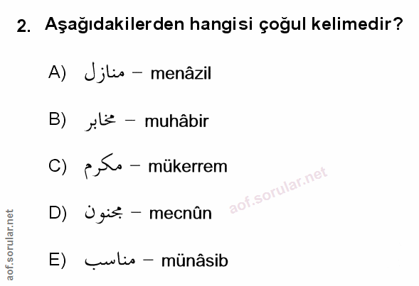 Soru 2