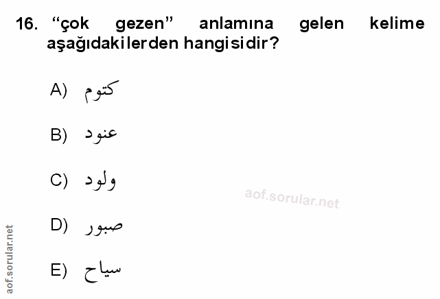 Soru 16