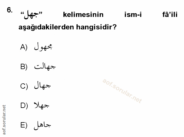 Soru 6