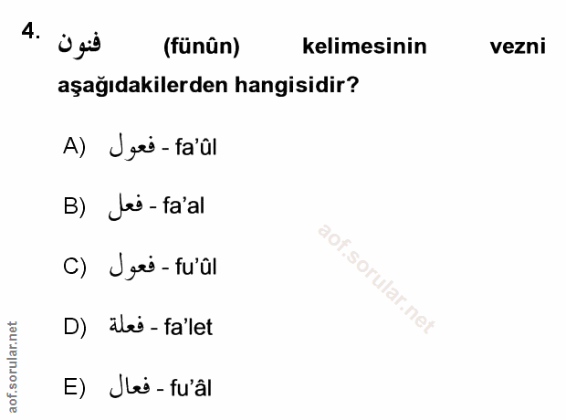 Soru 4