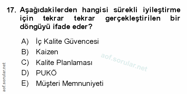 Soru 17