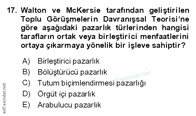 Soru 17
