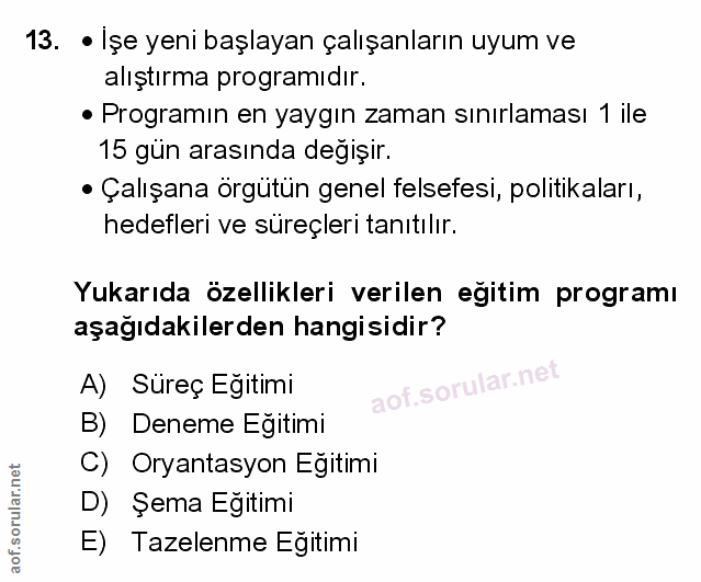 Soru 13