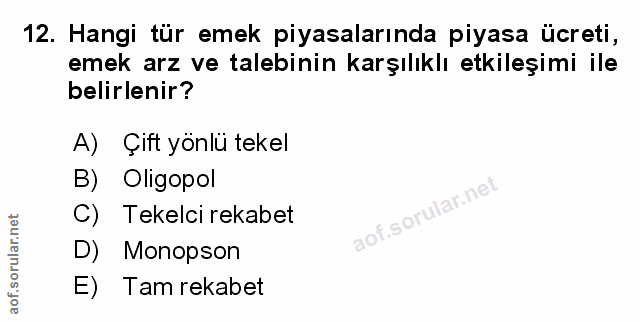 Soru 12
