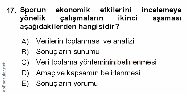 Soru 17