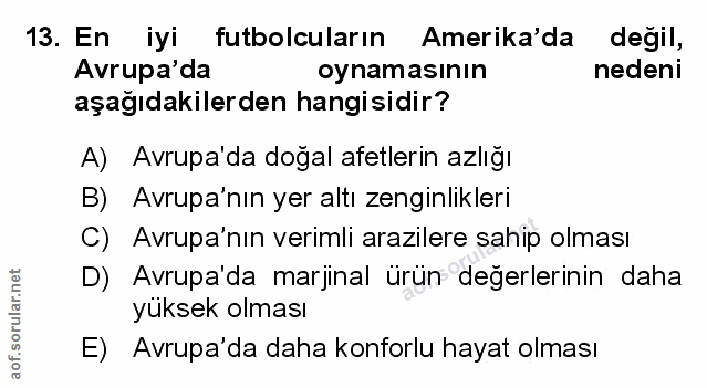 Soru 13