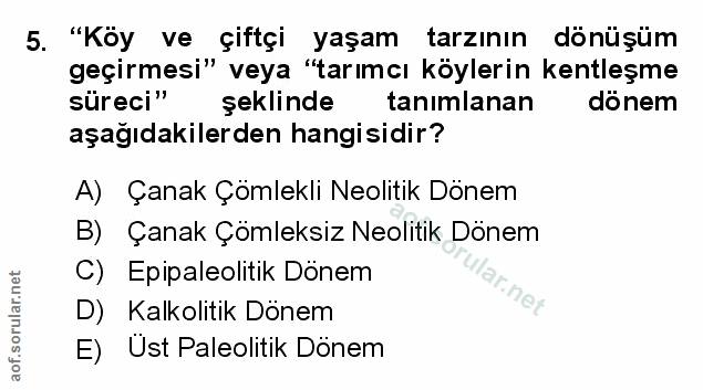 Soru 5