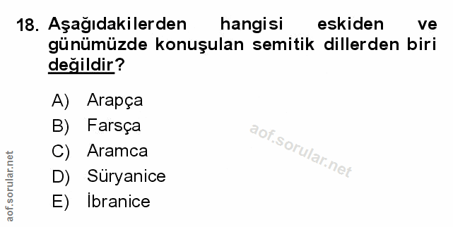 Soru 18