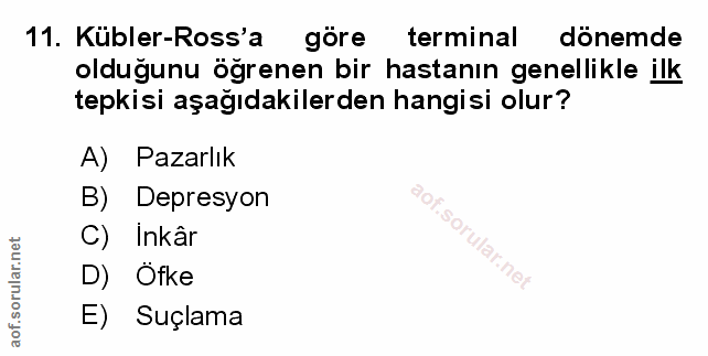 Soru 11