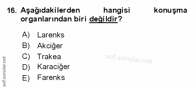 Soru 16