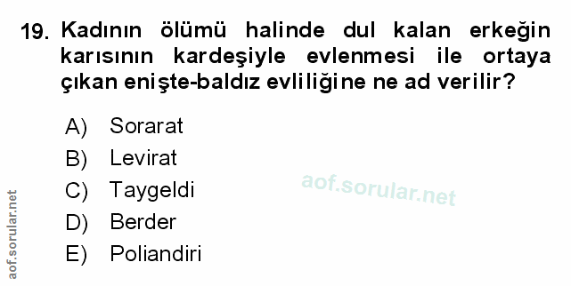 Soru 19