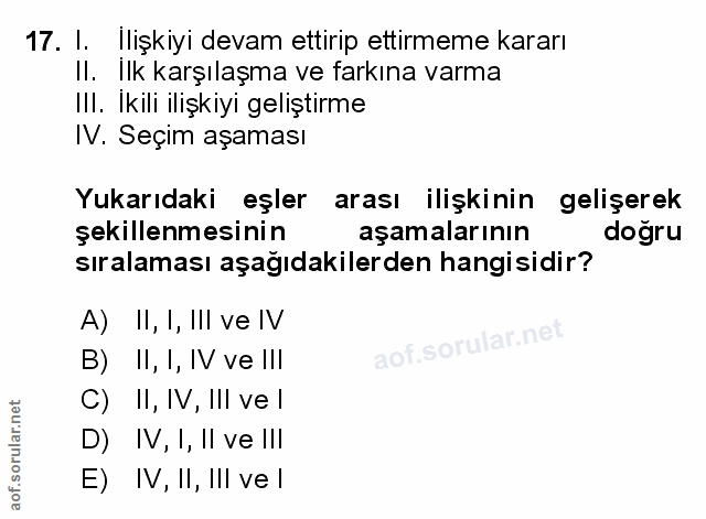 Soru 17