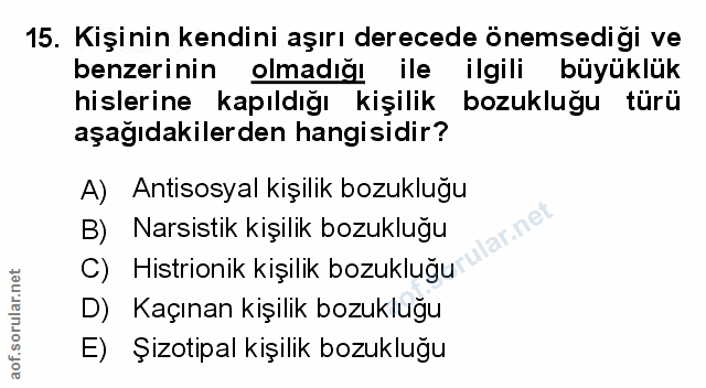 Soru 15