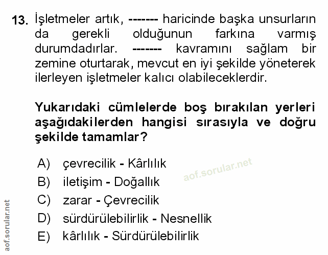 Soru 13