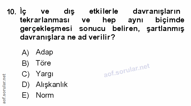 Soru 10