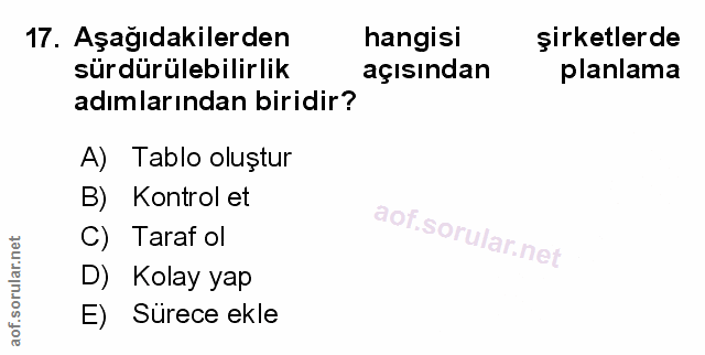 Soru 17