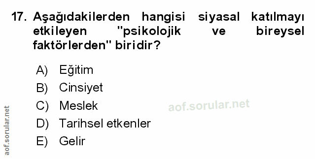 Soru 17