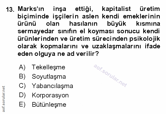 Soru 13