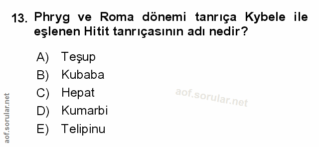 Soru 13