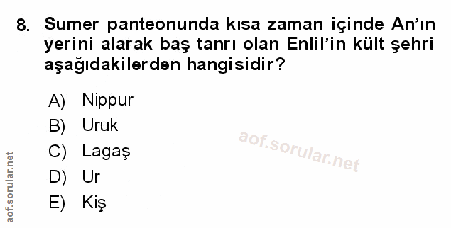 Soru 8