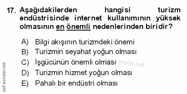 Soru 17
