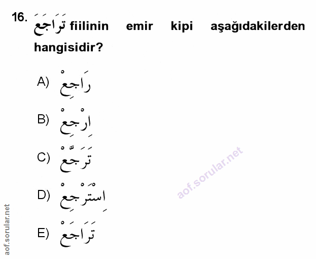 Soru 16