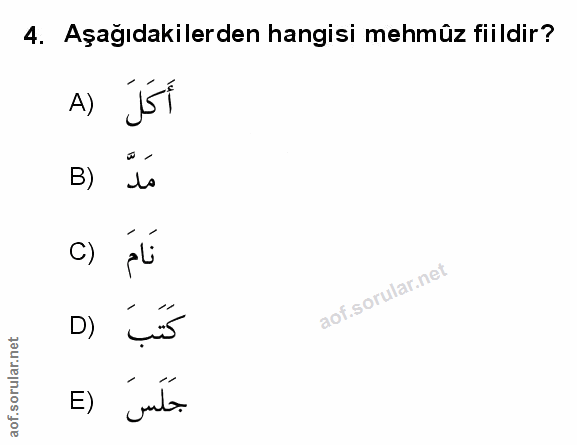 Soru 4