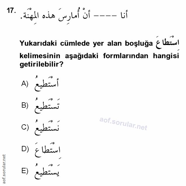 Soru 17