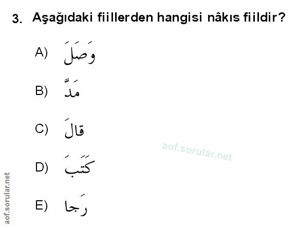 Soru 3