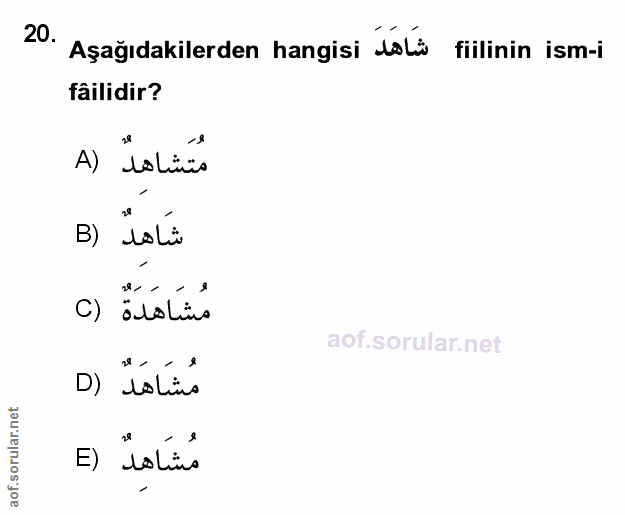 Soru 20