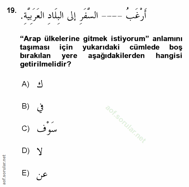 Soru 19