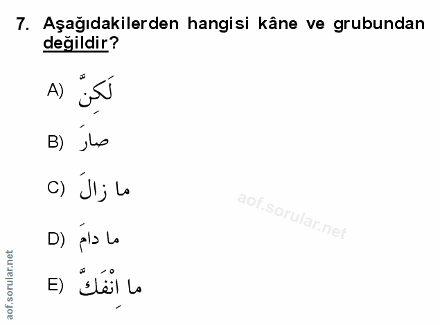 Soru 7